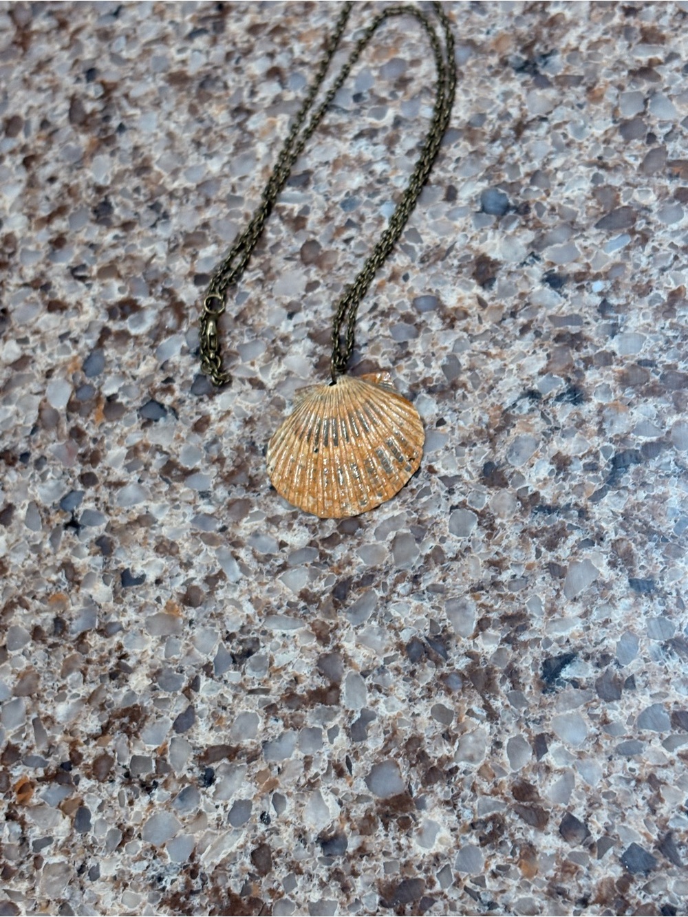Shell necklace - Picture 4 of 6